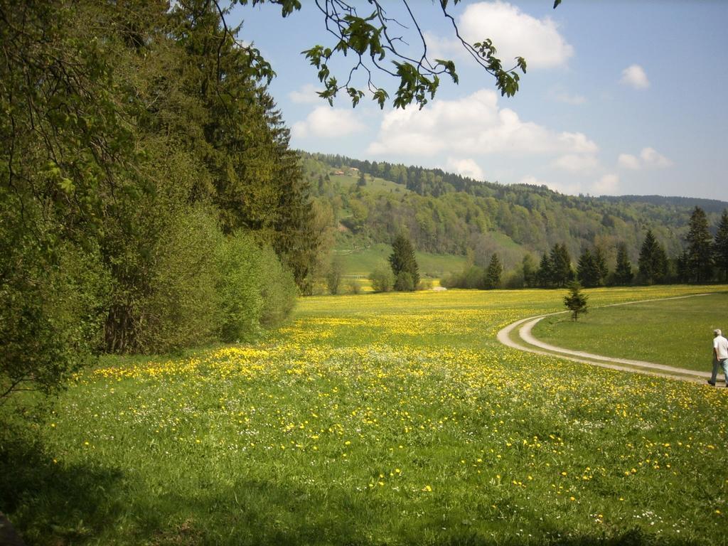 Landgasthof Jaegerhaus Immenstadt im Allgäu Esterno foto