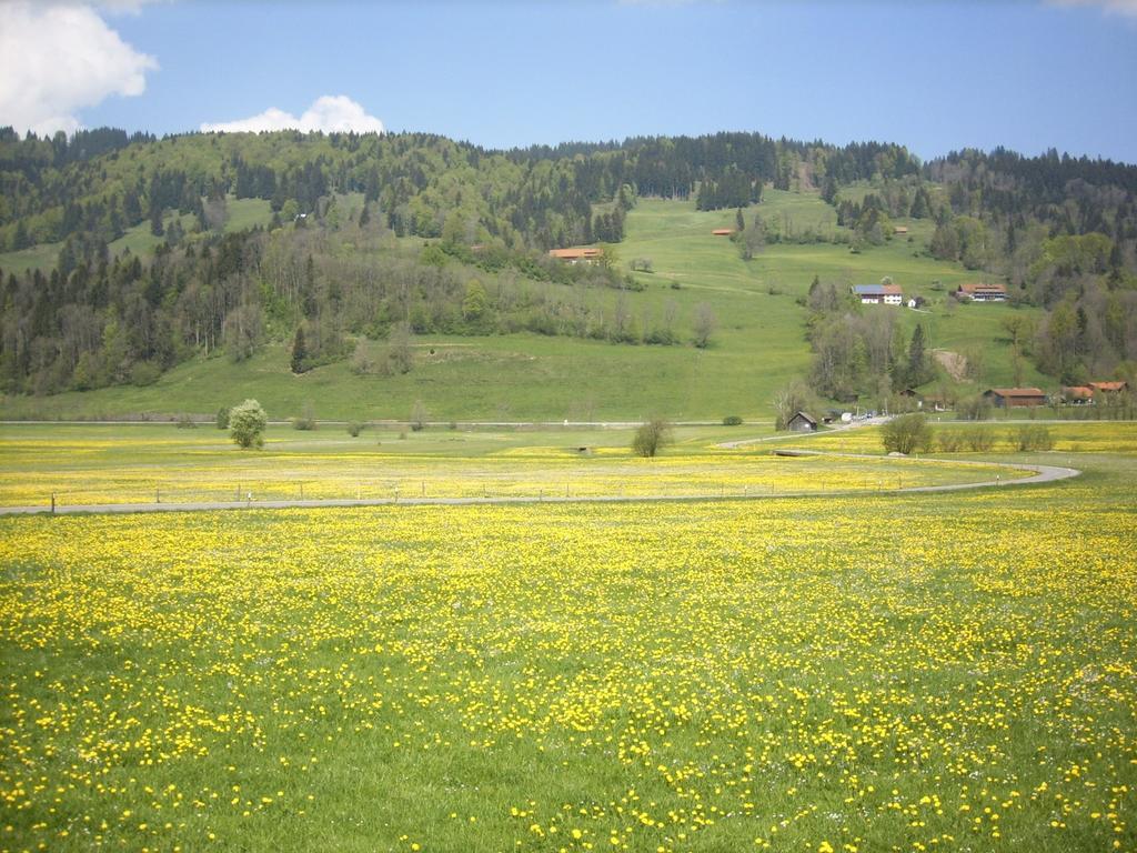 Landgasthof Jaegerhaus Immenstadt im Allgäu Esterno foto