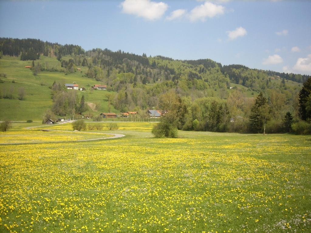 Landgasthof Jaegerhaus Immenstadt im Allgäu Esterno foto